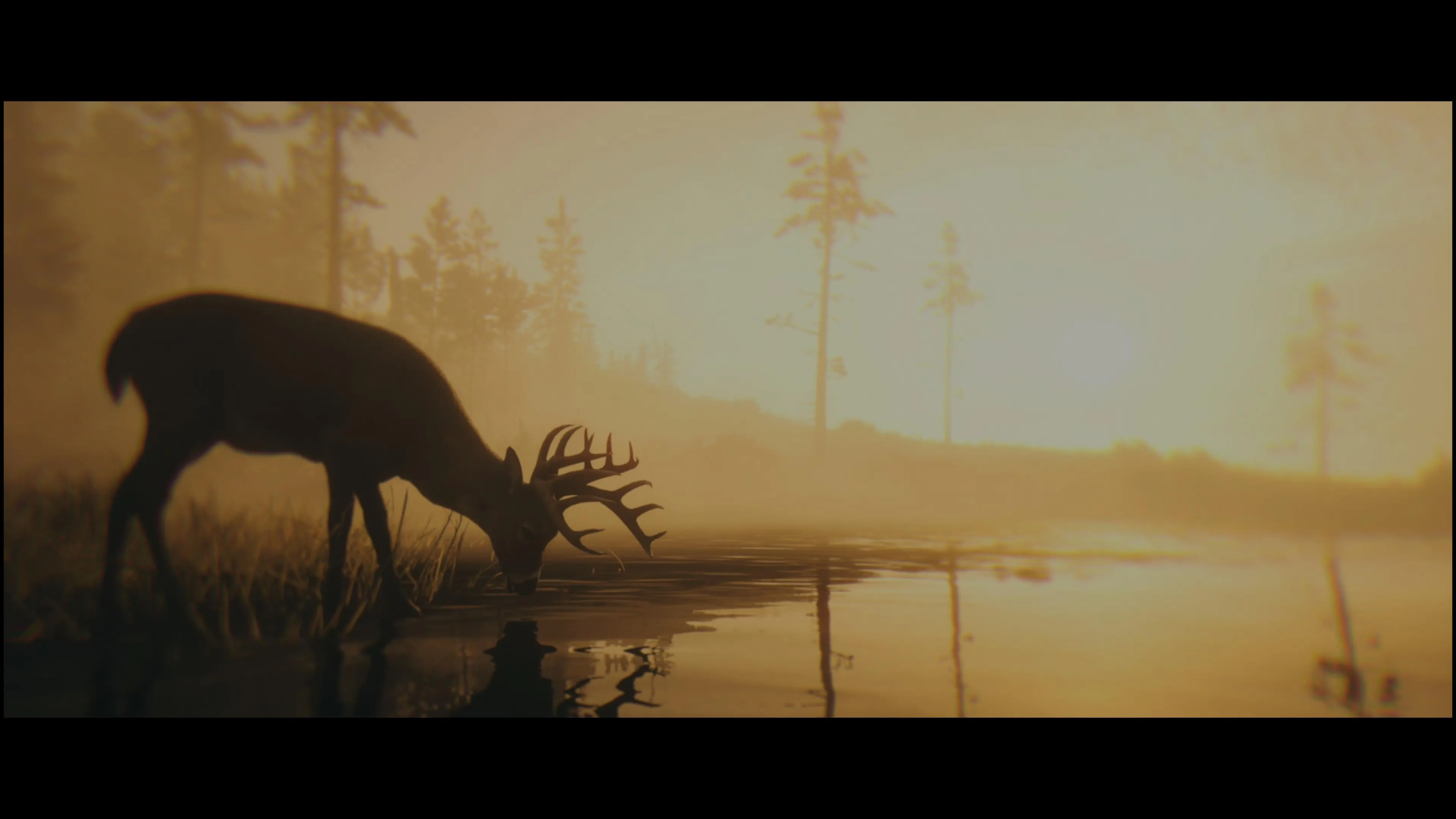 Deer drinking from a stream in Red Dead Redemption 2