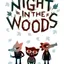 Night in the Woods