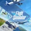 Microsoft Flight Simulator