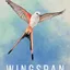 Wingspan
